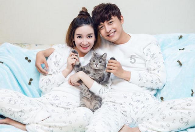 可爱猫咪救援